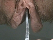 Sperma Aus Fotze Sperma Aus Fotze